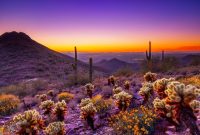 Arizona Appliance And Home