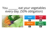 Must-Have Travel Accessories for Frequent Travelers