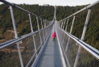 Most Downloaded Software This Year