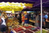 Market Analysis of Software Sales Worldwide