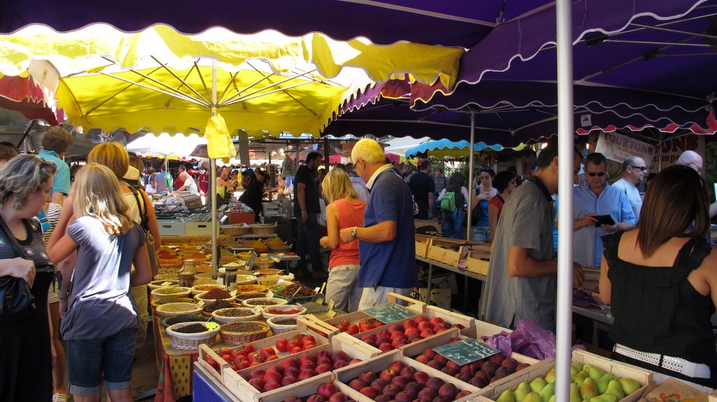 Market Analysis of Software Sales Worldwide