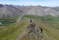 Top Platforms for Fashion Online Shopping