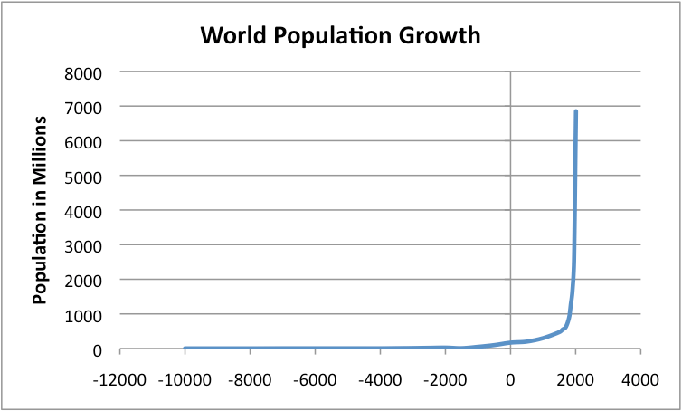 The Growth of Eco-Friendly Lifestyle Products
